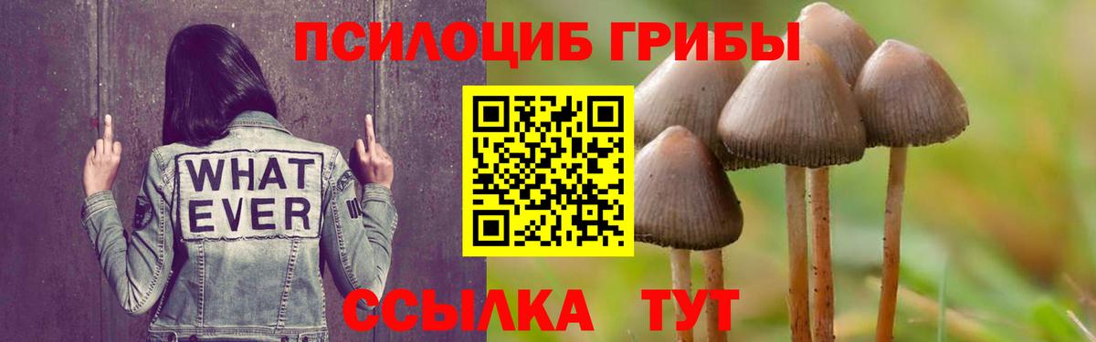 купить наркотики цена  Галлюциногенные грибы Magic Shrooms  Вход с VPN  Реутов  Галлюциногенные грибы мухоморы 